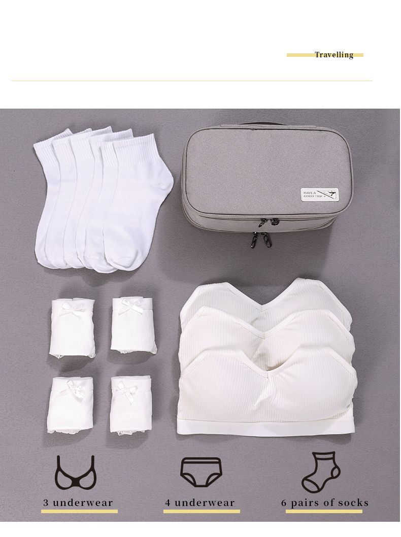 Bra and Underwear Organizer1 Bra and Underwear Organizer1