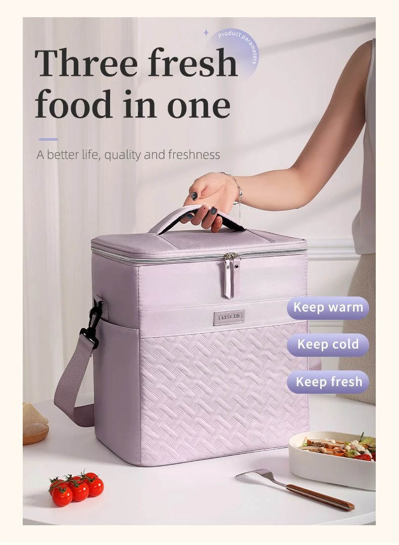 Insulated Lunch Bag Cooler Bag5 Insulated Lunch Bag Cooler Bag5