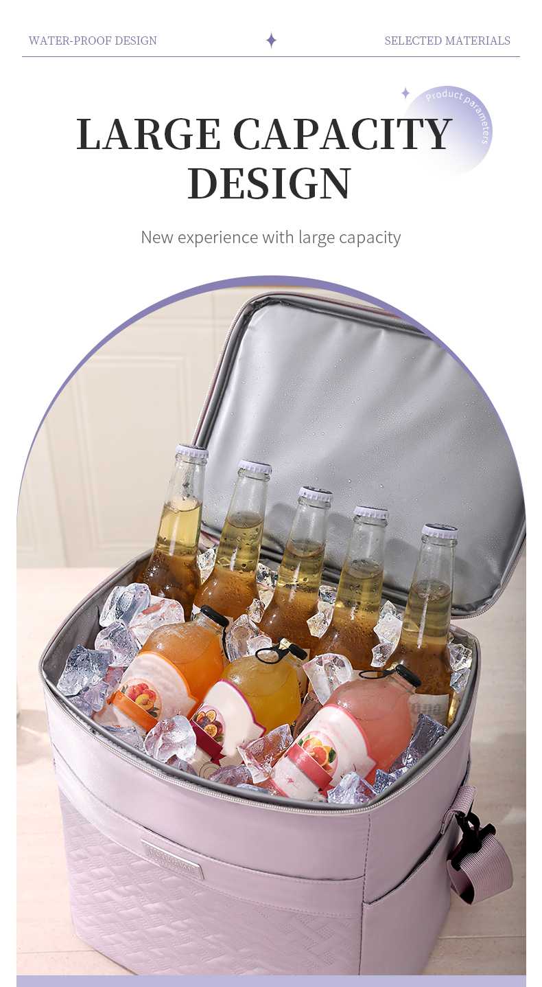 Insulated Lunch Bag Cooler Bag6 Insulated Lunch Bag Cooler Bag6