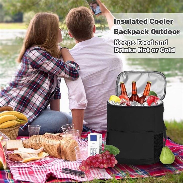 Insulated Backpack Cooler Lunch Bag