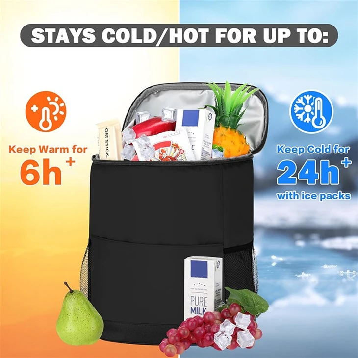 Insulated Backpack Cooler Lunch Bag